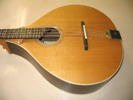Octave mandolin